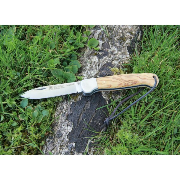 Joker Canguro 1.4116 Stahl Olivenholz Braun