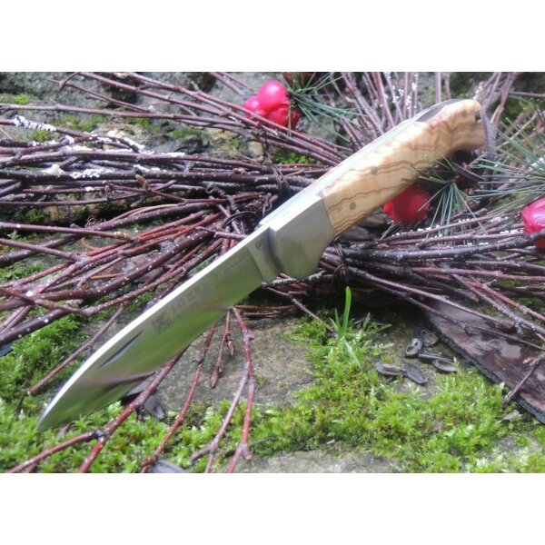 Joker Canguro 1.4116 Stahl Olivenholz Braun