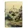 Zippo tumbled messing Compass Adventure Design 60007532 Wildnis als Aquarell