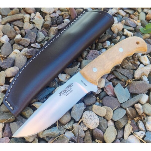 J&V Forester Lince Olivo Jagdmesser ACX-390 Stahl Olivenholzgriff