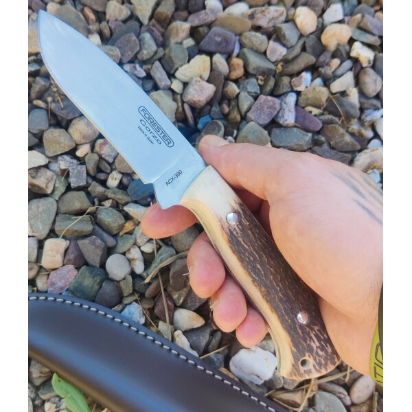 J&V Forester Corzo Ciervo Jagdmesser ACX-390 Stahl Hirschhorngriff