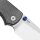 Kizer Messer Glaux Button Lock Folder 14C28N Stahl Norplex Ultrex Micarta