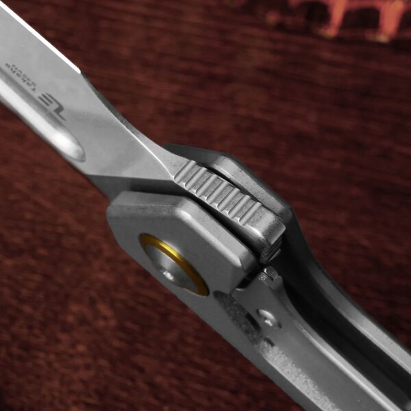 Kizer Messer Takahe Titan Framelock Taschenmesser S35VN Stahl