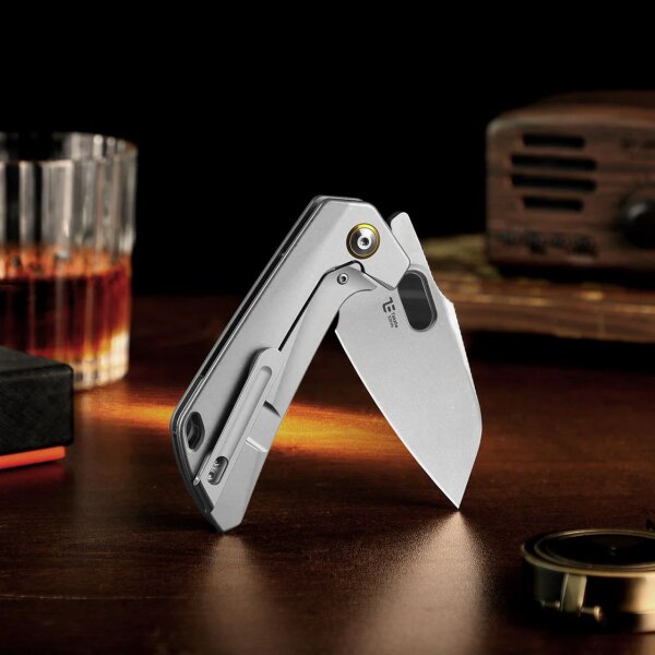 Kizer Messer Takahe Titan Framelock Taschenmesser S35VN Stahl