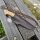J&V Axarquia Basic Line MoVa MV-58 Stahl Olivenholz inkl. Lederscheide