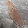 LionSteel Acha Lederscheide Handmade in Italy - Braun Brown handgemacht Leder