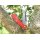 GANZO ADIMANTI SERIES SKIMEN-RD D2 Folder red rot G10 Flipper Taschenmesser Framelock
