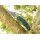 Spyderco Para 3 Lightweight CPM-SPY27 SPY27 FRN  Blau Taschenmesser Messer 01SP1074