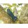 Spyderco Para 3 Lightweight CPM-SPY27 SPY27 FRN  Blau Taschenmesser Messer 01SP1074