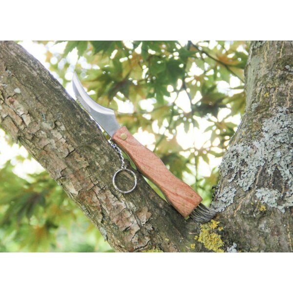 Albainox Pilzmesser Mushroom Knife Schwammerlmesser Bürste und Pinzette