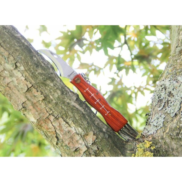 Albainox Pilzmesser Mushroom Schwammerlmesser Taschenmesser m. Bürste + Etui