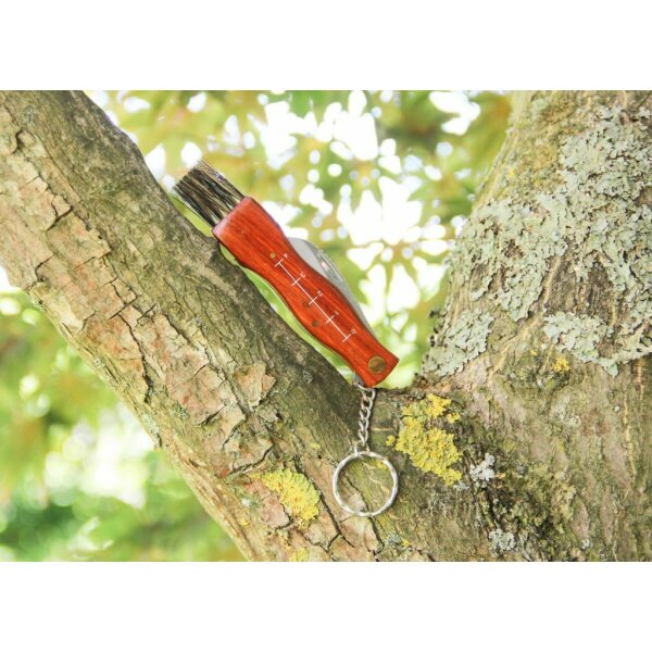 Albainox Pilzmesser Mushroom Schwammerlmesser Taschenmesser m. Bürste + Etui