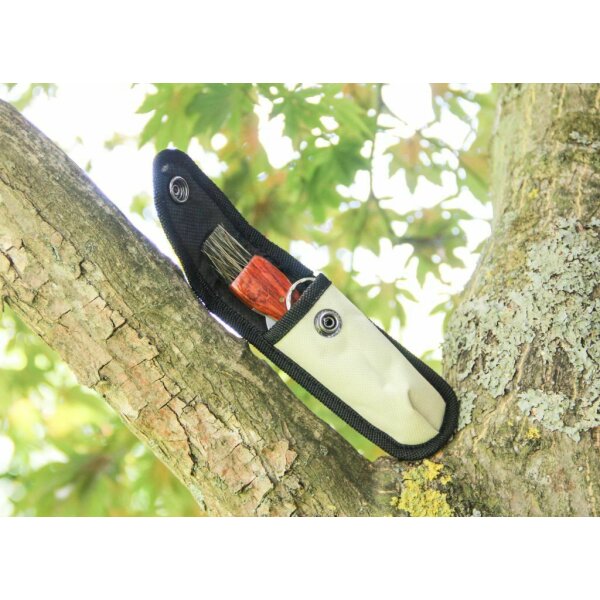 Albainox Pilzmesser Mushroom Schwammerlmesser Taschenmesser m. Bürste + Etui