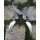 Albainox Taschenmesser Biker Messer mit Totenkopf Skull-Wing Folder