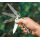 Victorinox Trailfinder ( früher: Trailmaster )  Camouflage Grip Taschenmesser Multitool