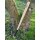 FOX OUTDOOR Baseball Bat Baseballschläger Holz Naturfarben 32 " Zoll 81 cm