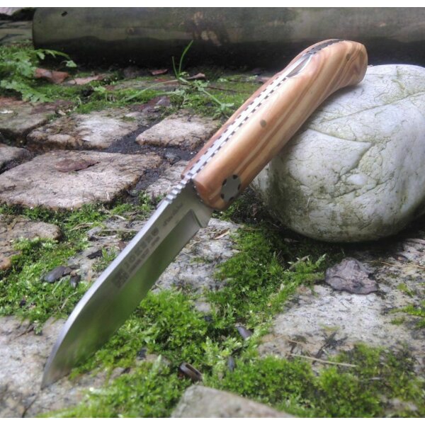 Joker Pachon 12C27 Olivenholz Braun