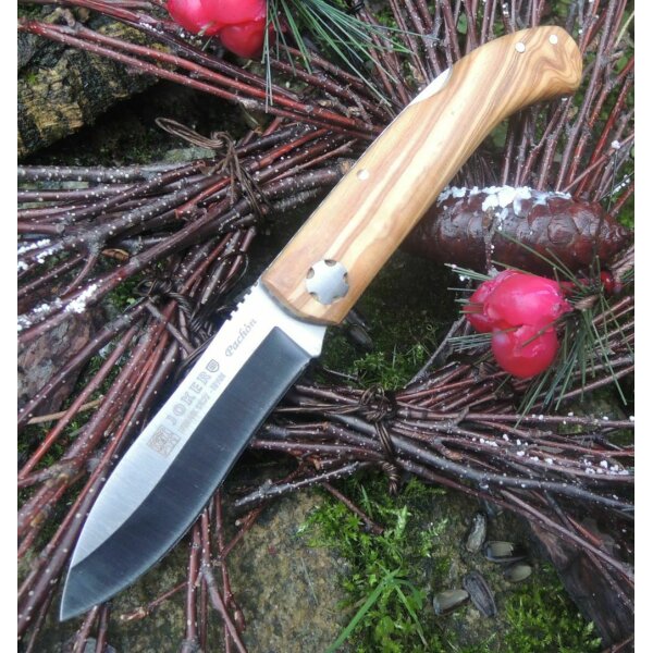 Joker Pachon 12C27 Olivenholz Braun