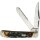 Rough Ryder Rider TRAPPER CINNAMON STAG Trapper Damaststahl Knochengriff Bone Taschenmesser