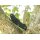 Spyderco UK Pen Knife Drop CTS BD 1 FRN  Schwarz black Taschenmesser Messer 01SP716