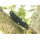 Spyderco UK Pen Knife Drop CTS BD 1 FRN  Schwarz black Taschenmesser Messer 01SP716