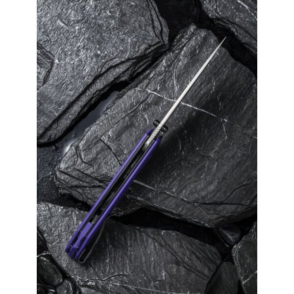 CIVIVI Brazen Purple C2102A Folder 14C28N Stahl G10