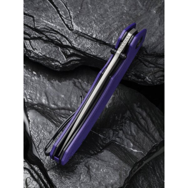 CIVIVI Brazen Purple C2102A Folder 14C28N Stahl G10