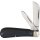 Rough Ryder Rider Messer DENIM HALF HAWK Klappmesser T10 Kohlenstoffstahl Micarta Taschenmesser