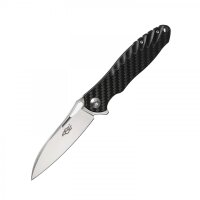 GANZO FH71-CF POKE Folder D2 Stahl