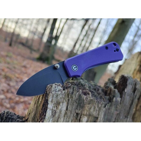 CIVIVI Baby Banter C19068S-4 Mini Folder Nitro-V Stahl G10 PURPLE