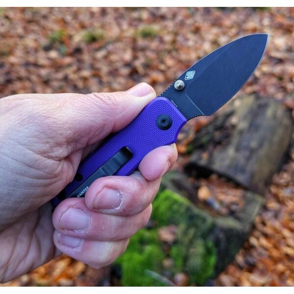 CIVIVI Baby Banter C19068S-4 Mini Folder Nitro-V Stahl G10 PURPLE