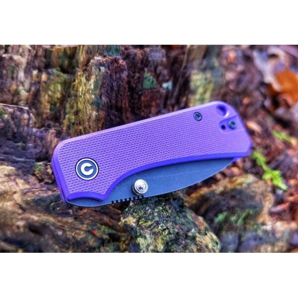 CIVIVI Baby Banter C19068S-4 Mini Folder Nitro-V Stahl G10 PURPLE