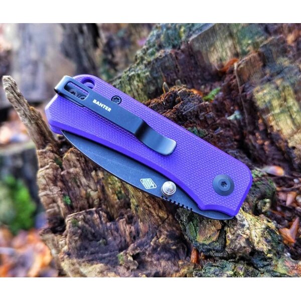 CIVIVI Baby Banter C19068S-4 Mini Folder Nitro-V Stahl G10 PURPLE
