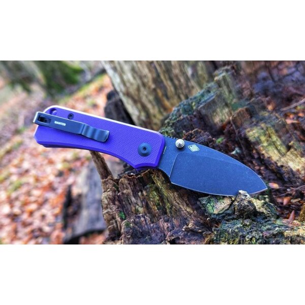 CIVIVI Baby Banter C19068S-4 Mini Folder Nitro-V Stahl G10 PURPLE