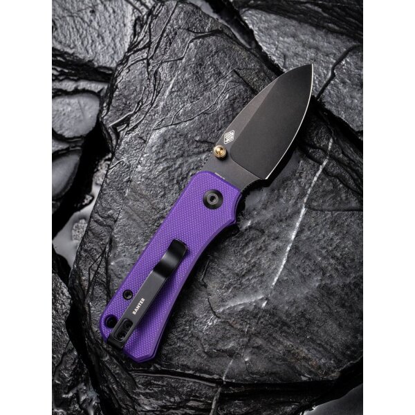 CIVIVI Baby Banter C19068S-4 Mini Folder Nitro-V Stahl G10 PURPLE