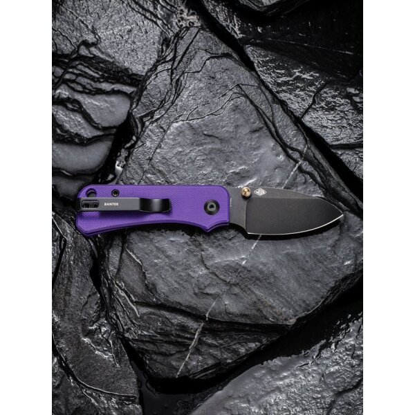 CIVIVI Baby Banter C19068S-4 Mini Folder Nitro-V Stahl G10 PURPLE