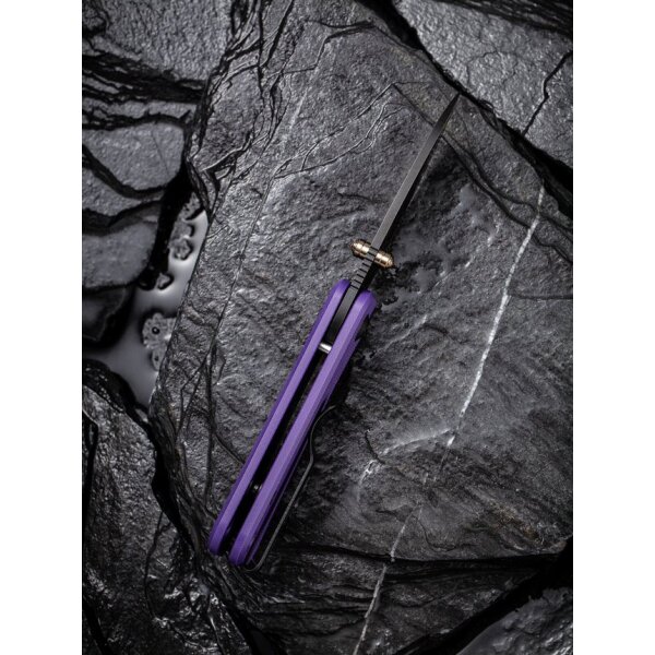 CIVIVI Baby Banter C19068S-4 Mini Folder Nitro-V Stahl G10 PURPLE