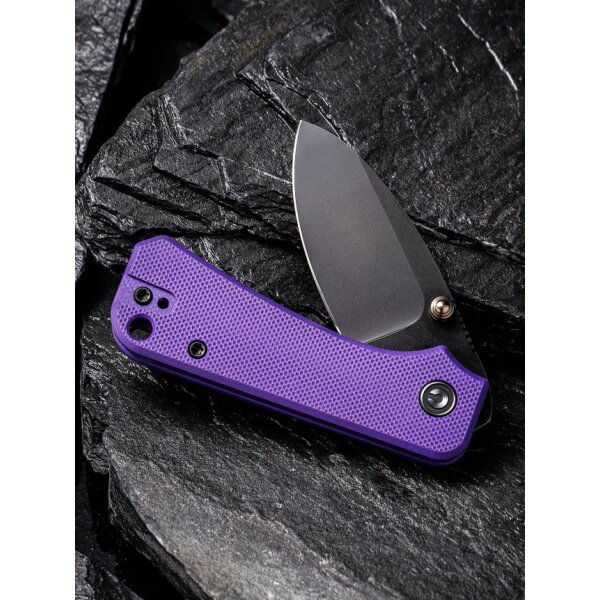 CIVIVI Baby Banter C19068S-4 Mini Folder Nitro-V Stahl G10 PURPLE