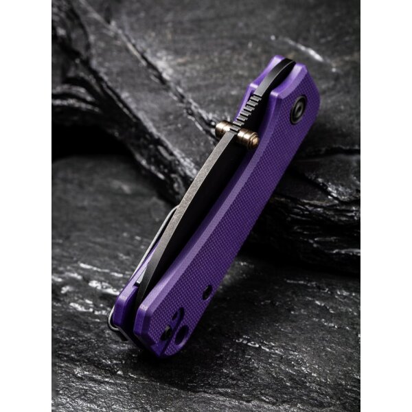 CIVIVI Baby Banter C19068S-4 Mini Folder Nitro-V Stahl G10 PURPLE