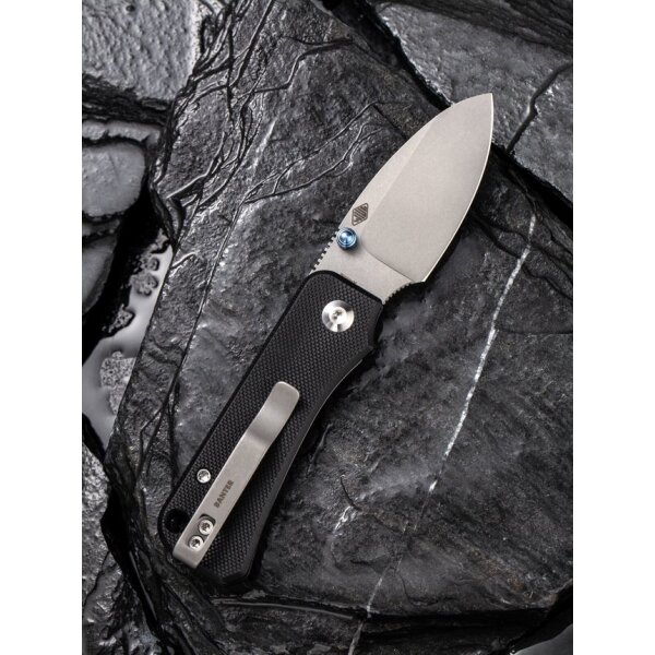 CIVIVI Baby Banter C19068S-1 Mini Folder Nitro-V Stahl G10 BLACK