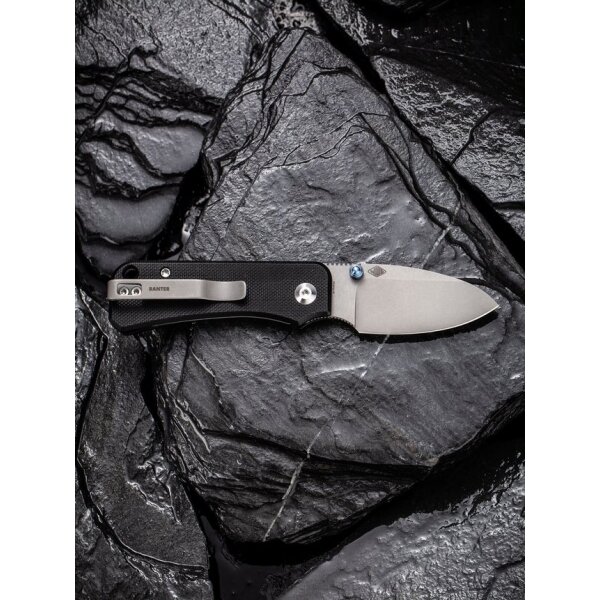 CIVIVI Baby Banter C19068S-1 Mini Folder Nitro-V Stahl G10 BLACK