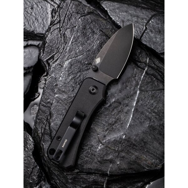 CIVIVI Baby Banter C19068S-2 Mini Folder Nitro-V Stahl G10 BLACK