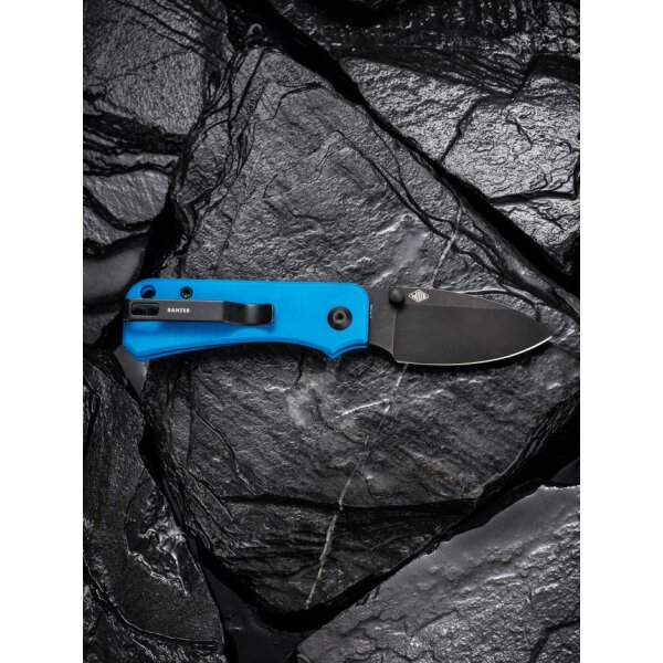 CIVIVI Baby Banter C19068S-3 Mini Folder Nitro-V Stahl G10 BLUE