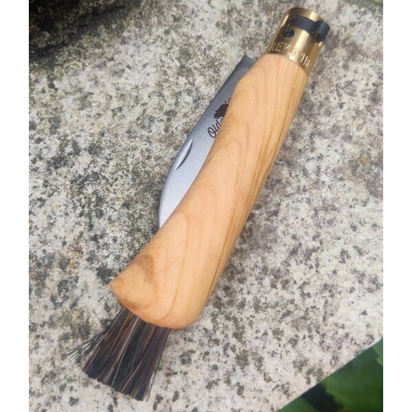 Antonini Old Bear Pilzmesser Schwammerlmesser Mushroom Knife Olivenholz-Griff Bürste
