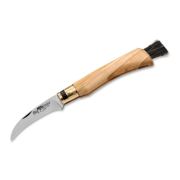 Antonini Old Bear Pilzmesser Schwammerlmesser Mushroom Knife Olivenholz-Griff Bürste