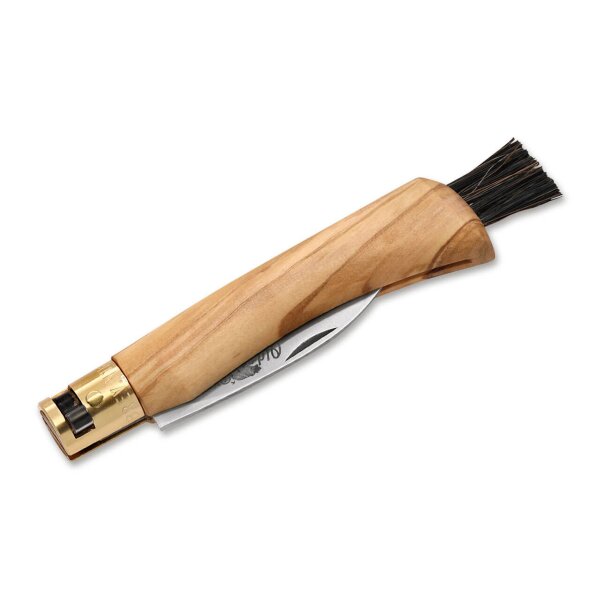 Antonini Old Bear Pilzmesser Schwammerlmesser Mushroom Knife Olivenholz-Griff Bürste
