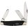 Rough Ryder Rider STOCKMAN BLACK MICARTA Messer Taschenmesser Kohlenstoffstahl