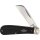 Rough Ryder Messer HAWKBILL BLACK MICARTA Slipjoint Kohlenstoffstahl