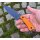 Sanrenmu S768-4 Messer Fixed Blade 12C27 Stahl G10 Griff Jagdmesser