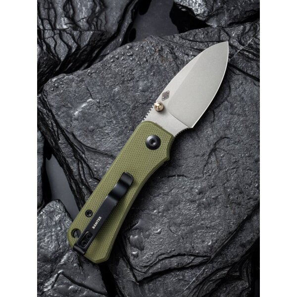 CIVIVI Baby Banter C19068S-5 Mini Folder Nitro-V Stahl G10 Green